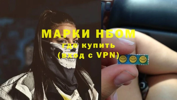 СК Алексин