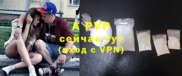 СК Алексин