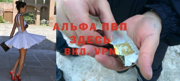 СК Алексин